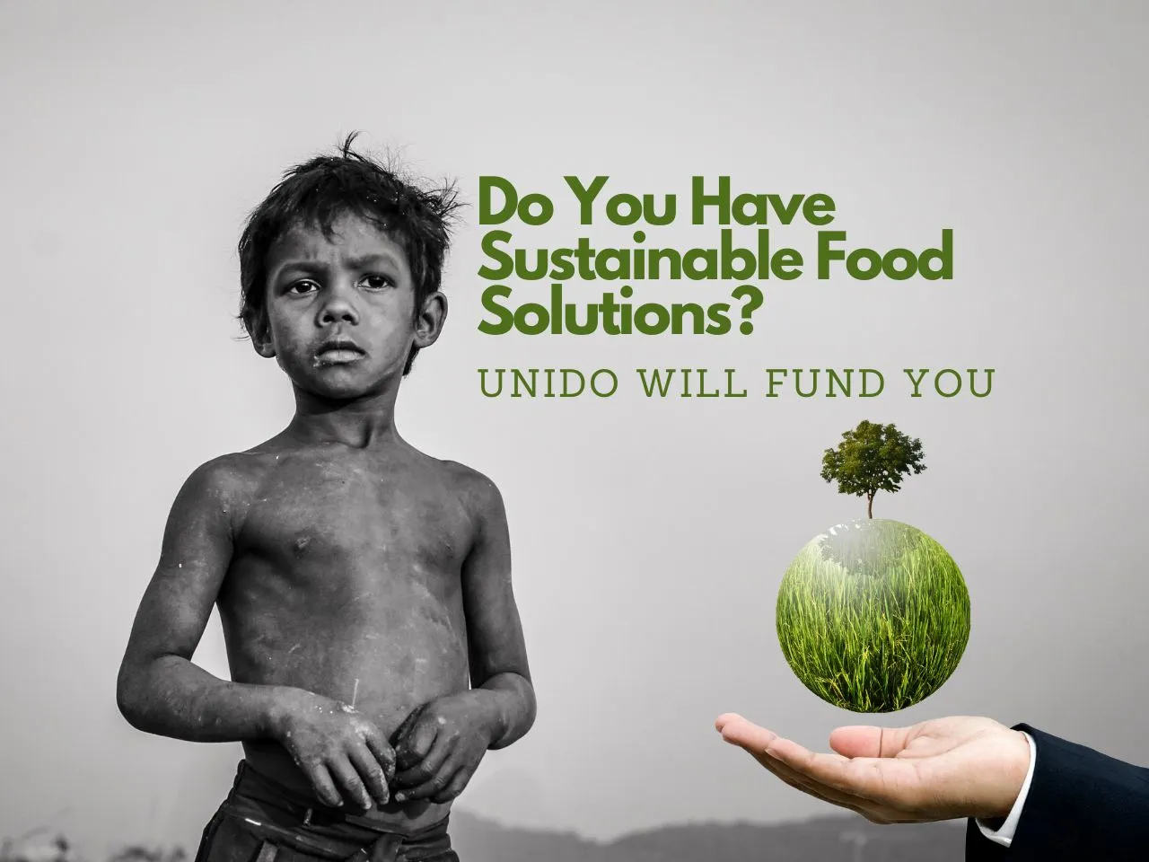 UNIDO Sustainable Food Startups