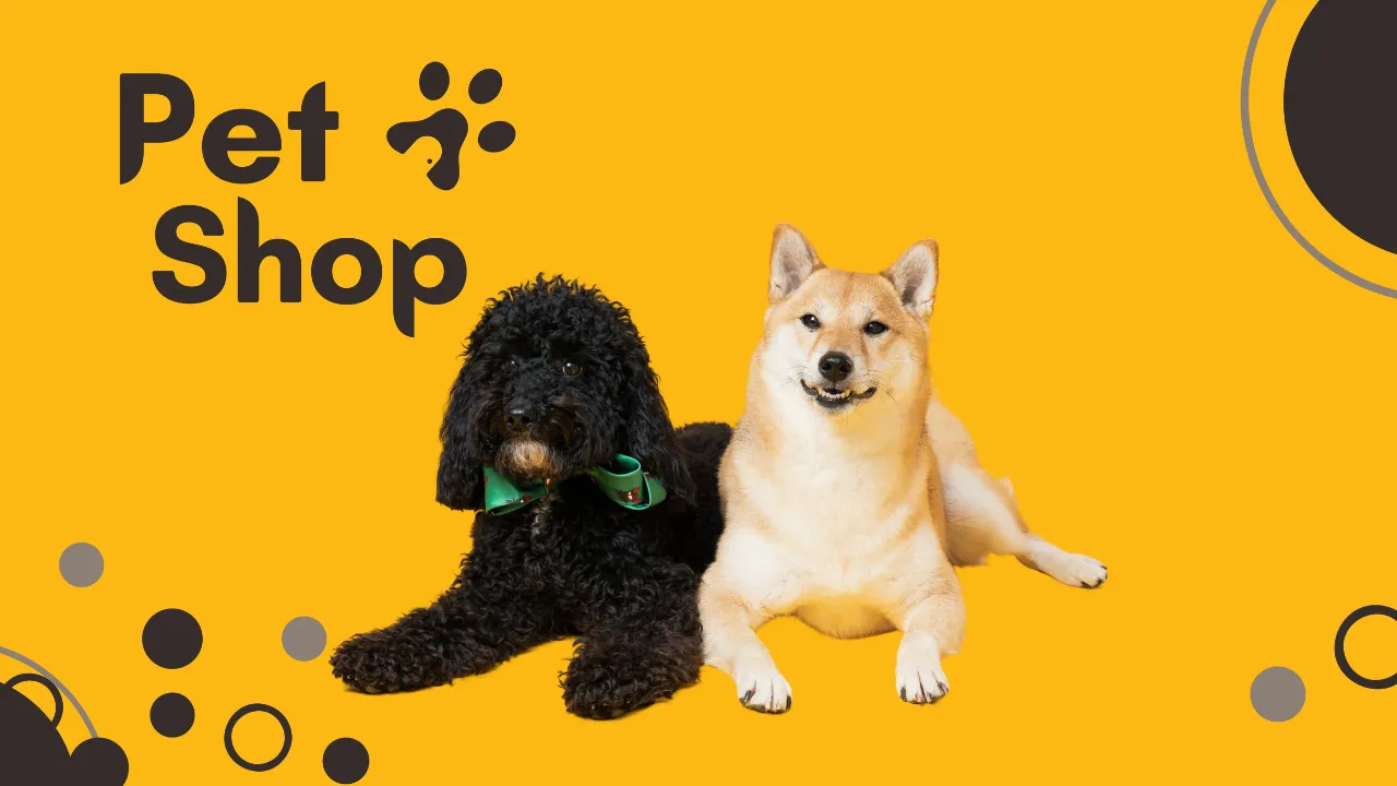 Best Pet Shops in Visakhapatnam 