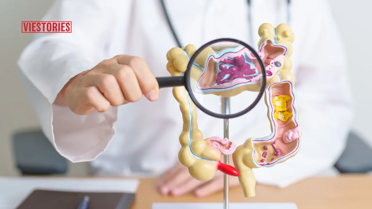 Gastroenterologists in Jabalpur