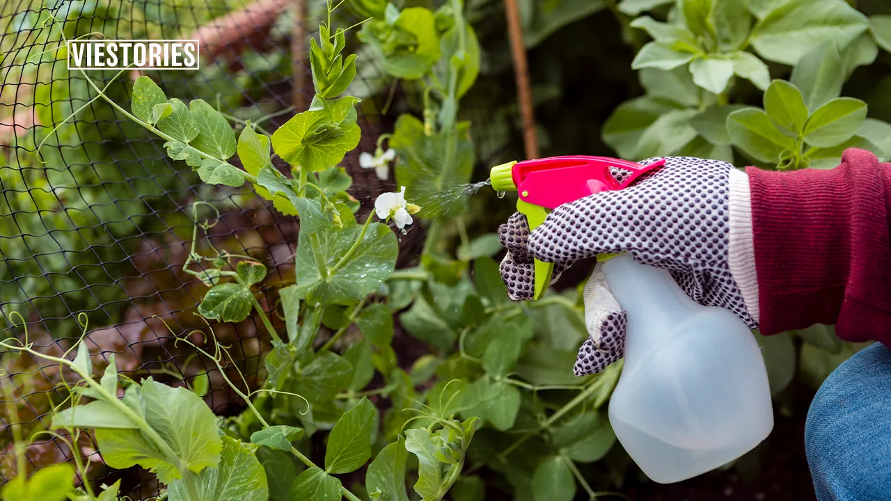 Pesticides Company in India