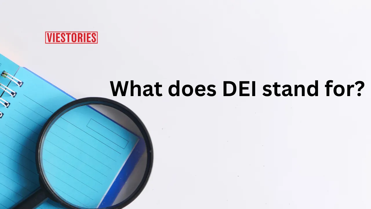 DEI stands