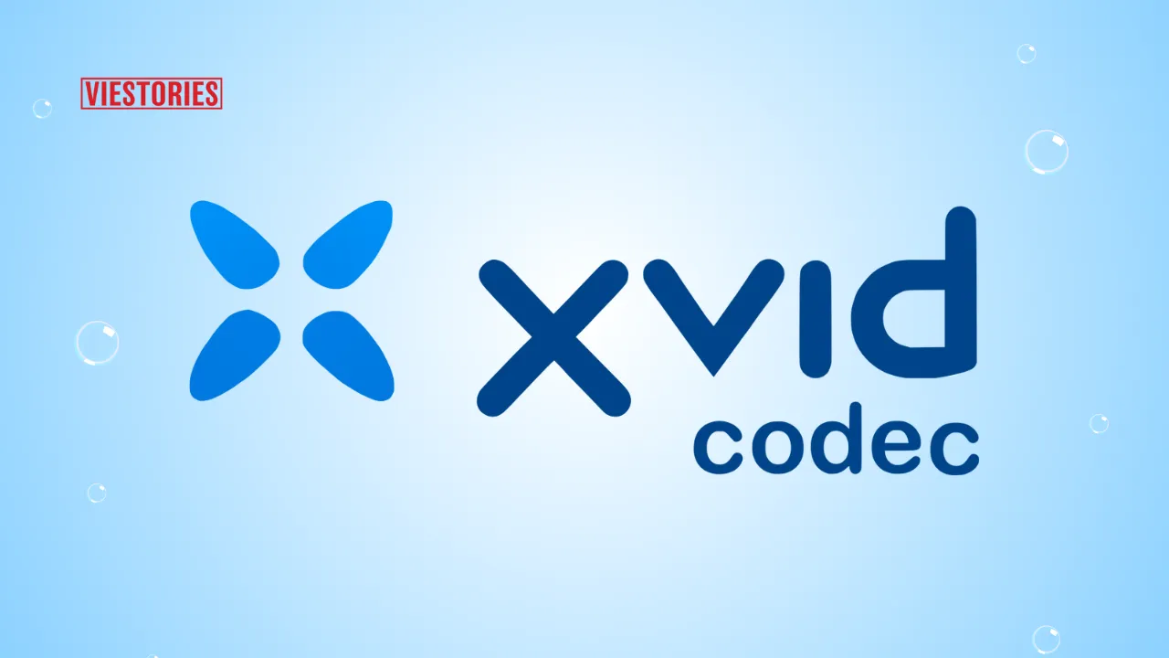xvid Video codec