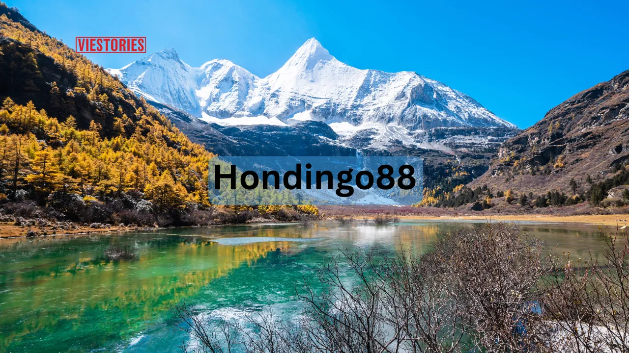 Hondingo88