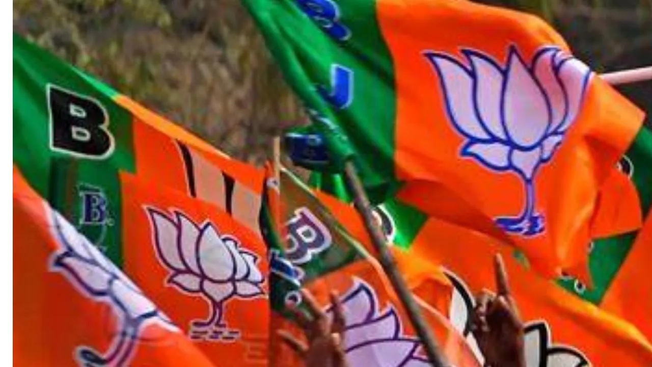 BJP, delhi election
