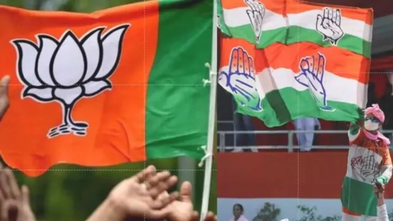 bjp con