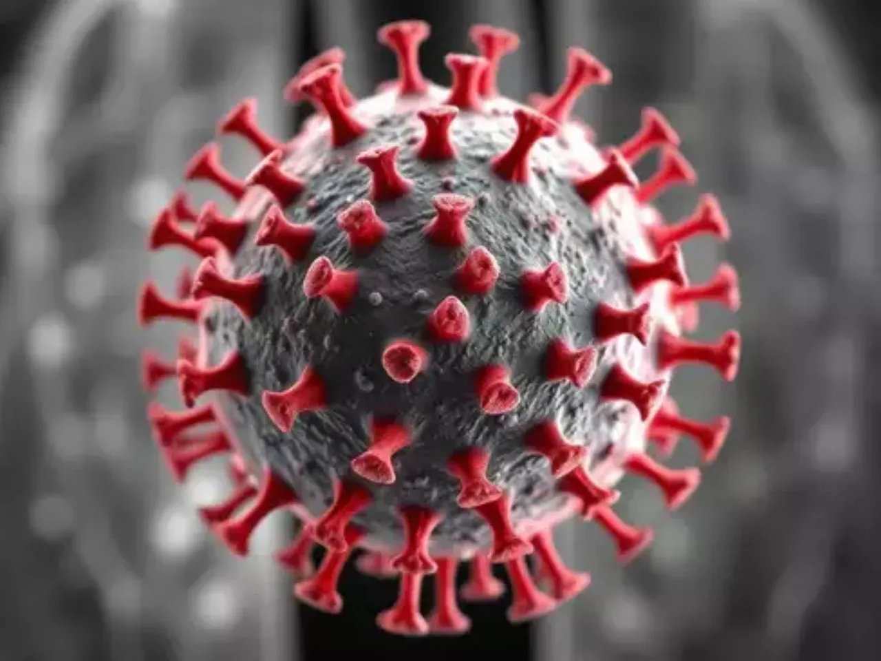 HMPV Virus 