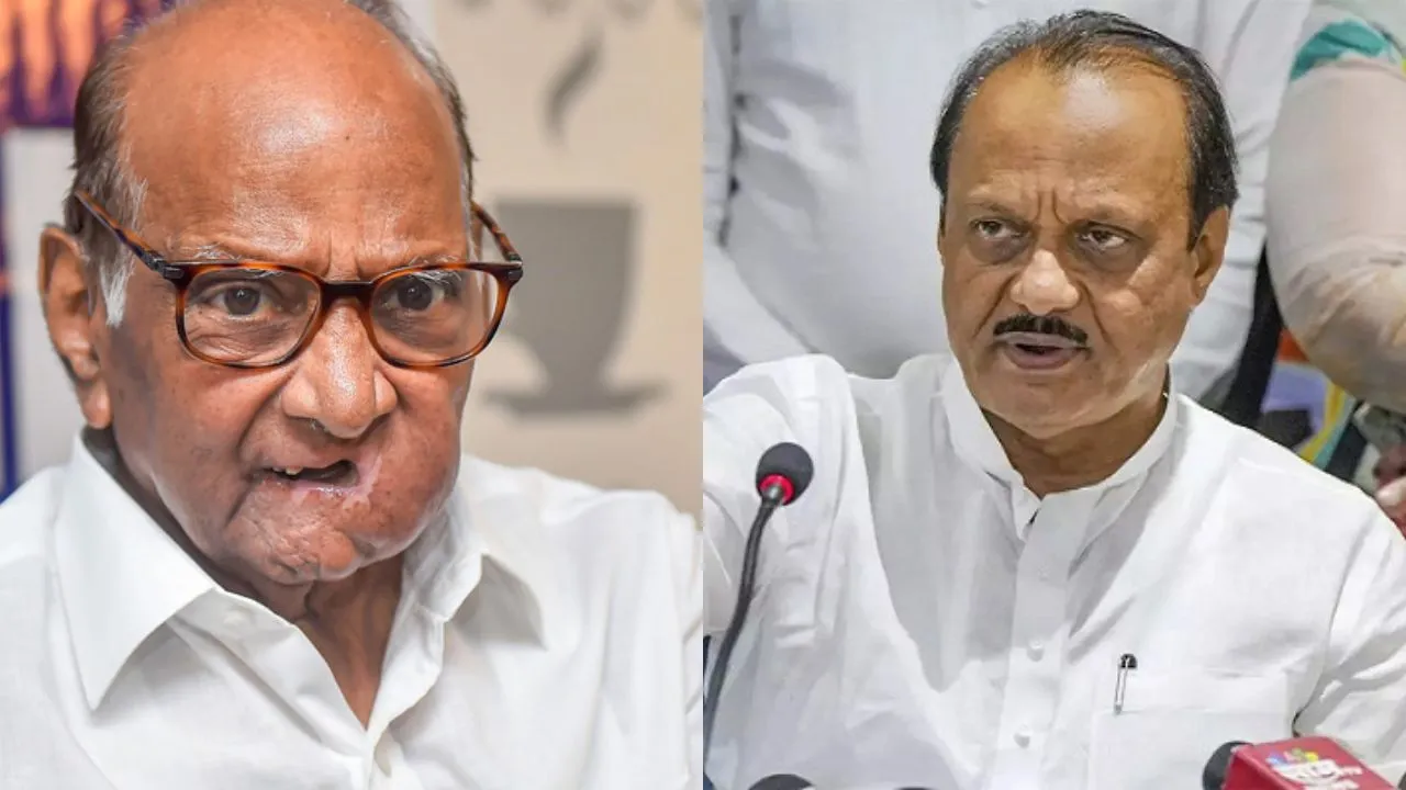 ajit-sharad pawar