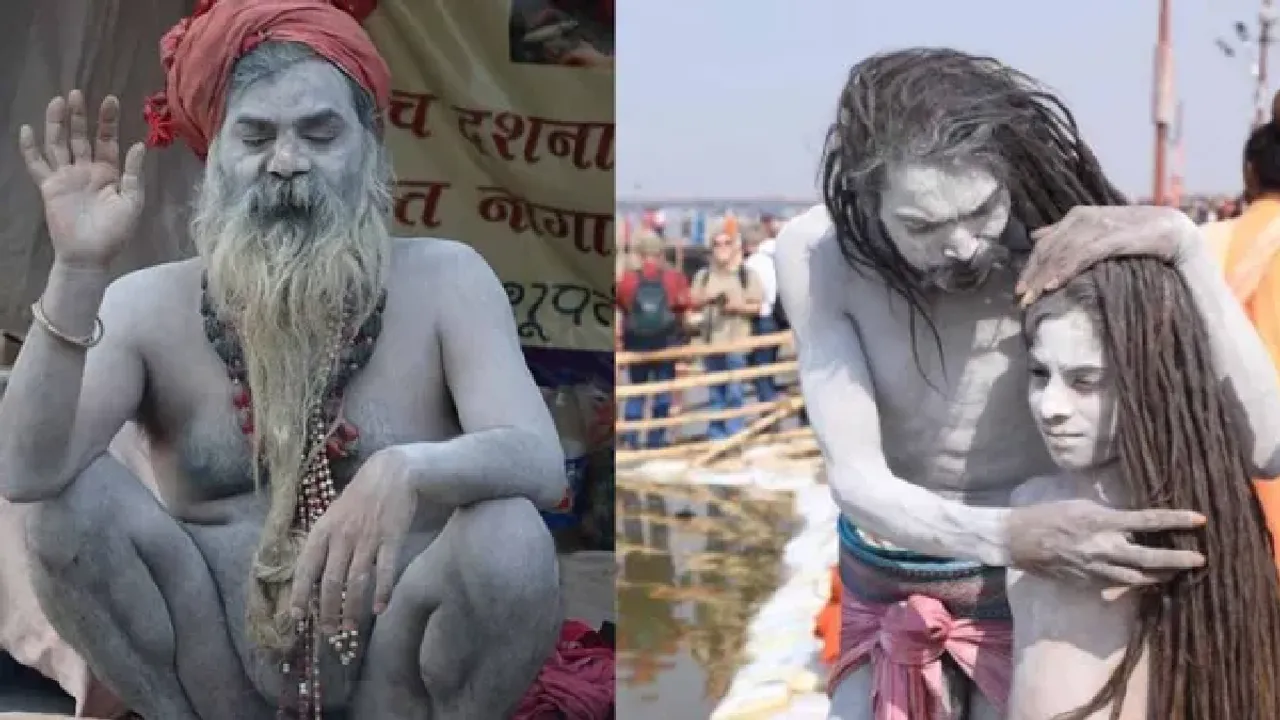 naga sadhu
