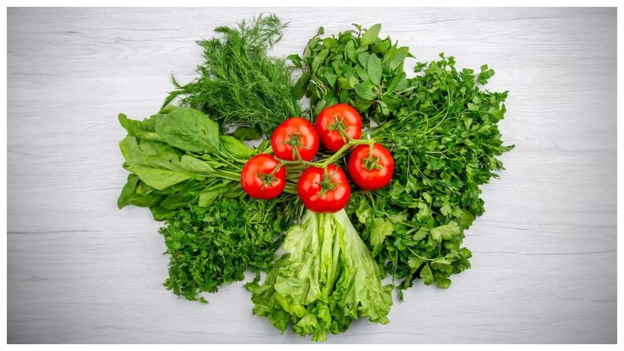 Vegetables for Winter