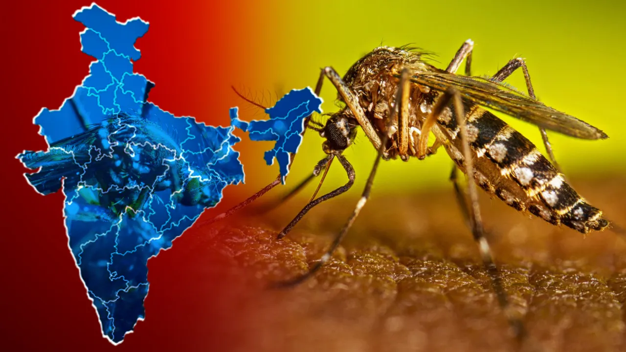 DENGUE IN INDIA