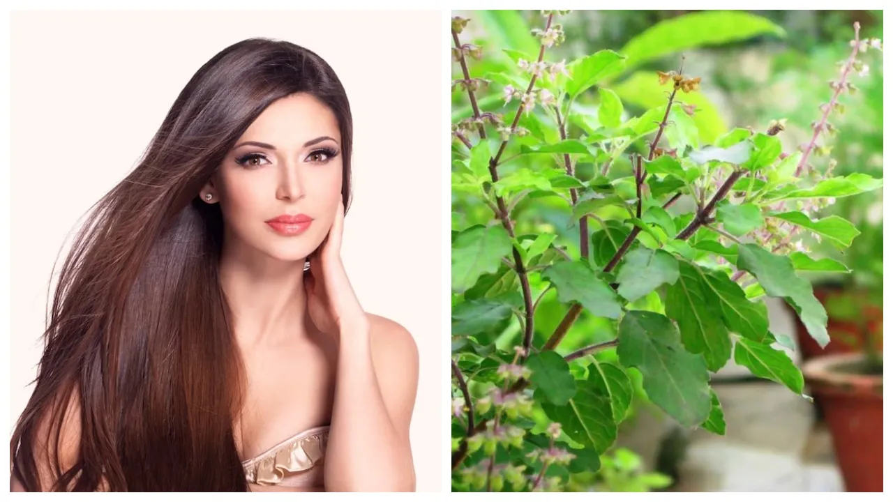 Tulsi Hair Mask