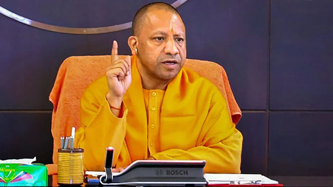 yogi
