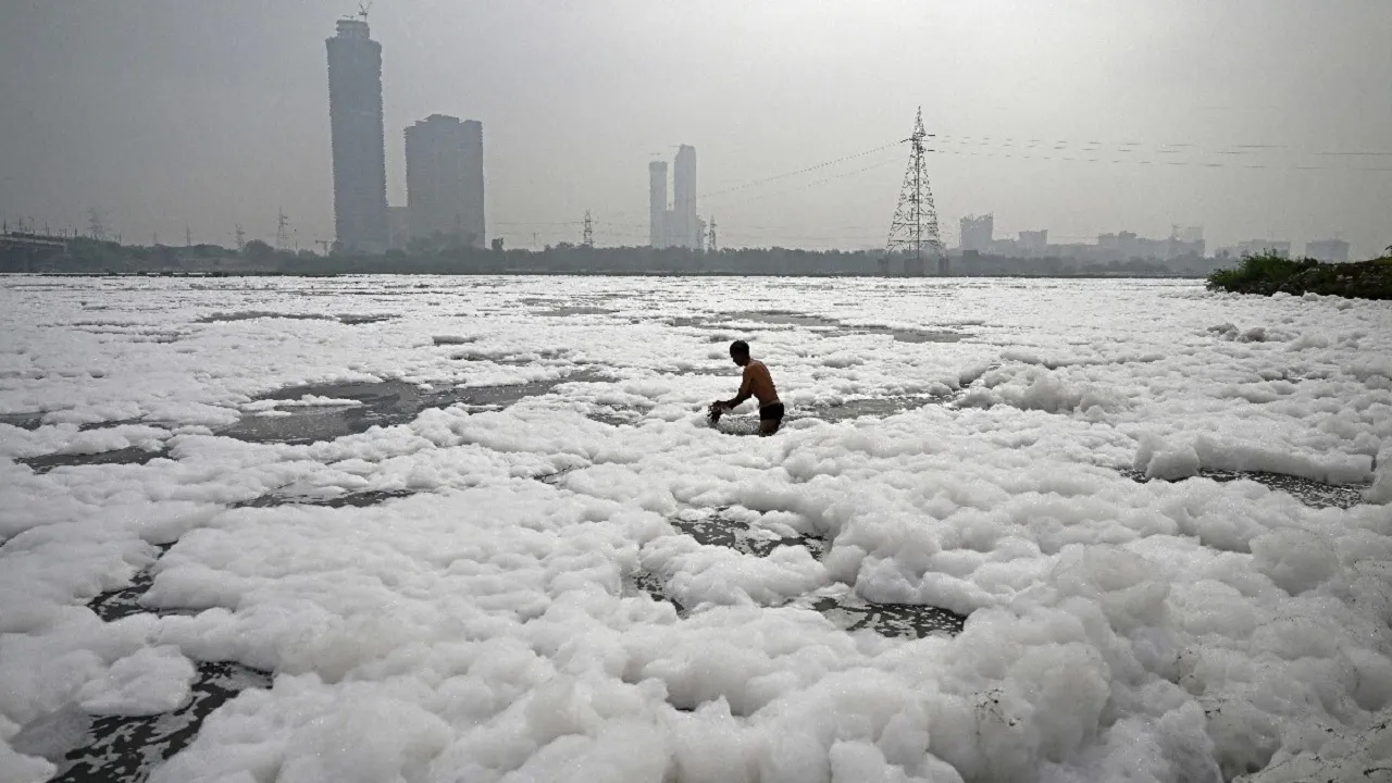 yanuna pollution