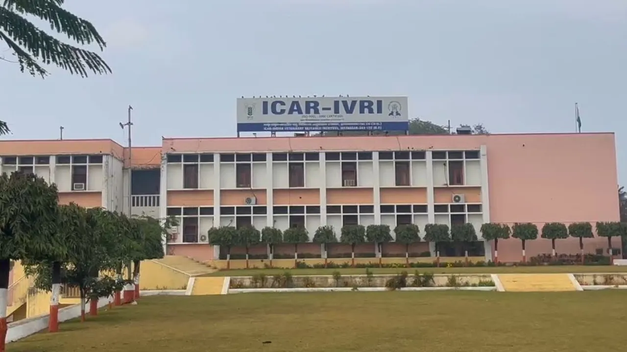 ivri