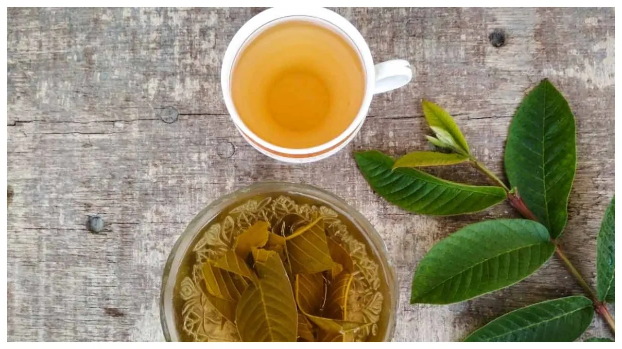 Guava Leaf Tea