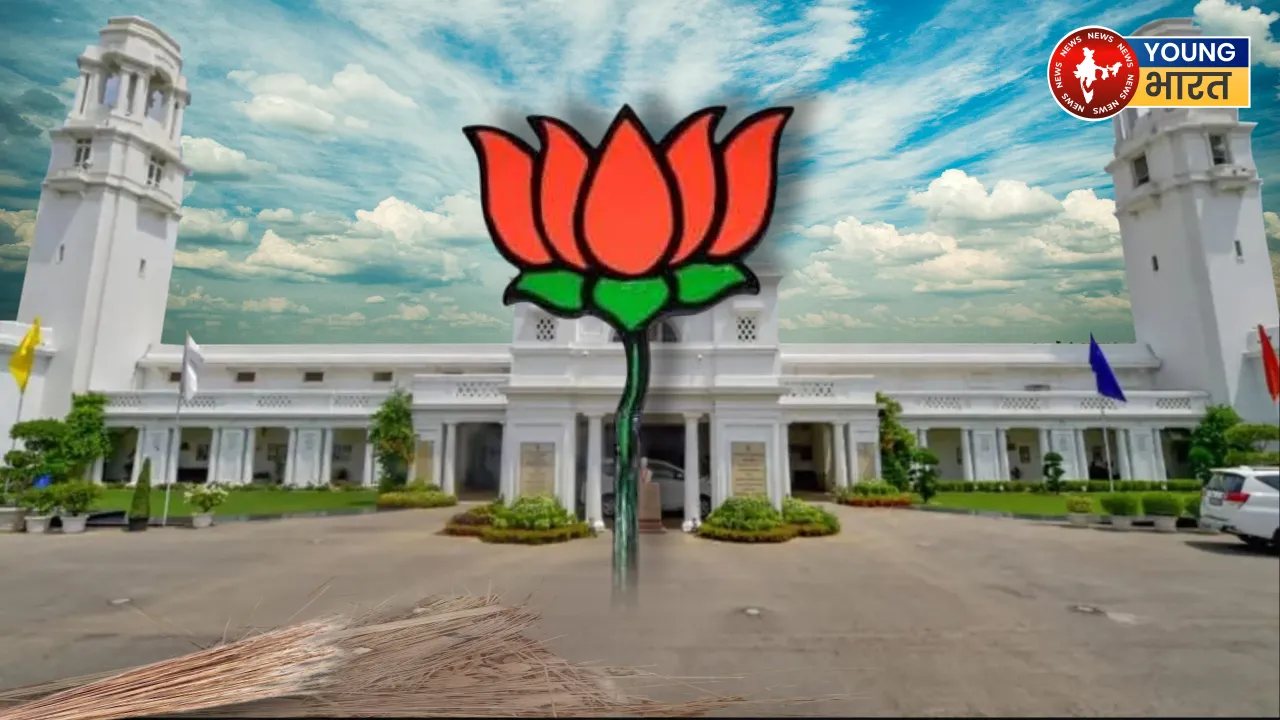 KAMAL JHADU