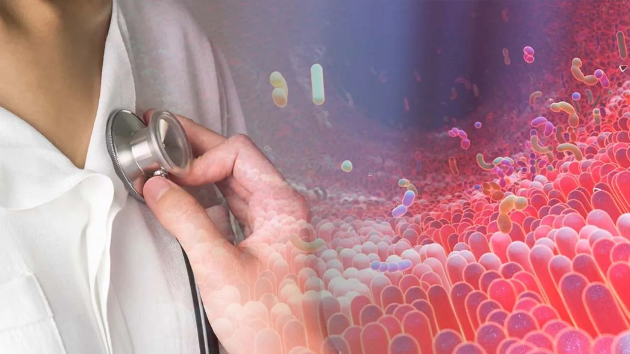 Gut Bacteria 