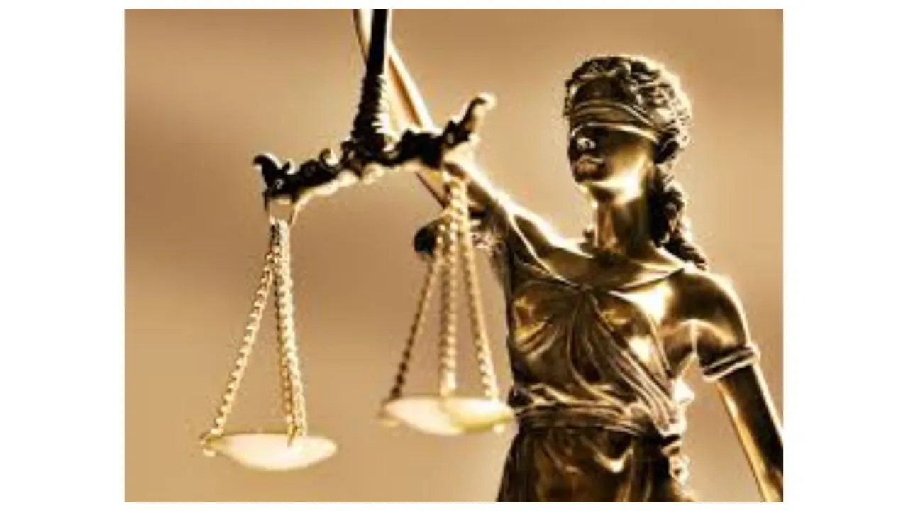 Law 