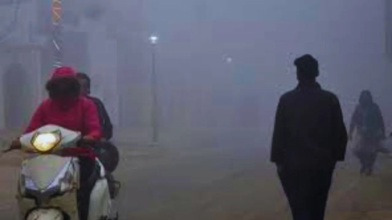 फोटो जर्नलिस्ट सुनील कुमार