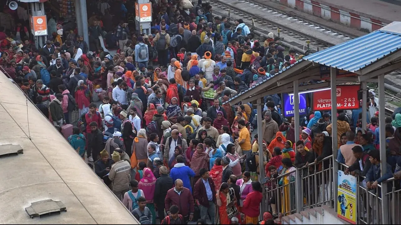 Crowd