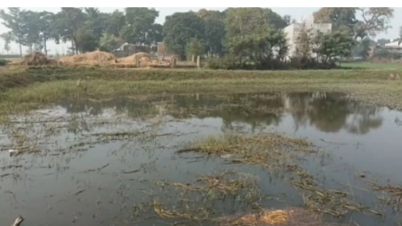 ग्रामीण तालाब 