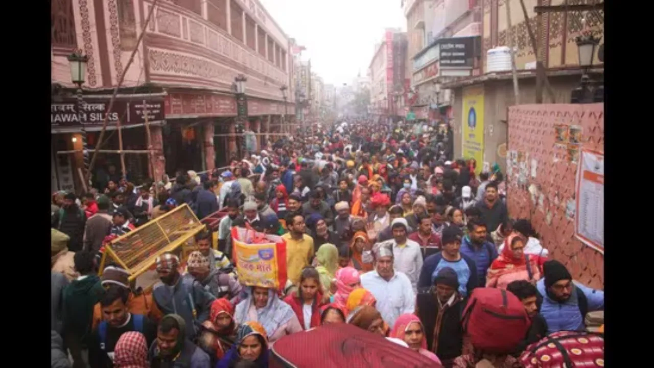 crowd 