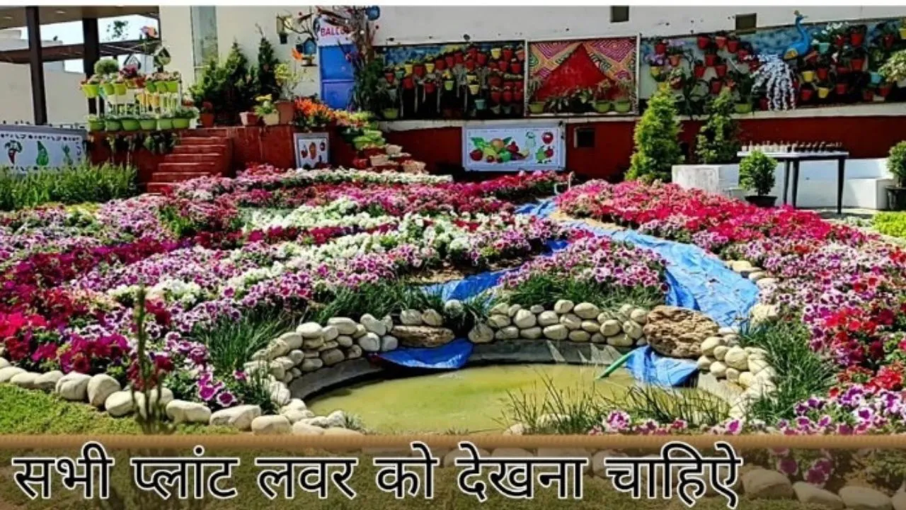 फ्लावर शो गाजियाबाद