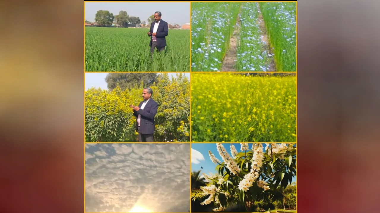 aggriculture