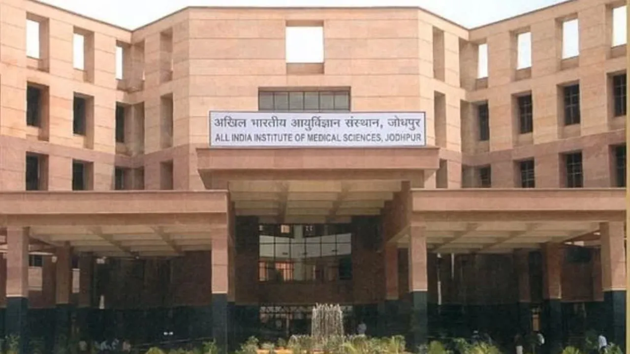 university