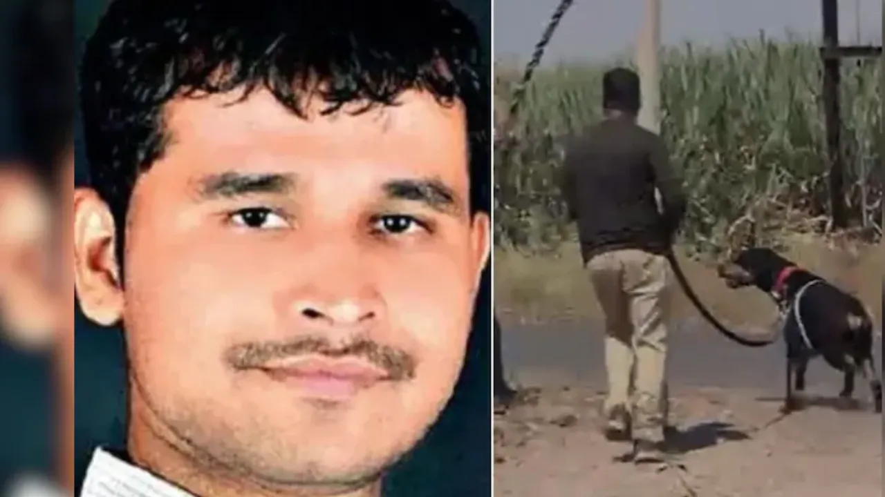 आरोपी 