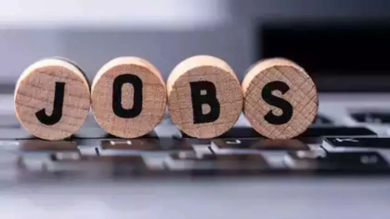 White Colar job