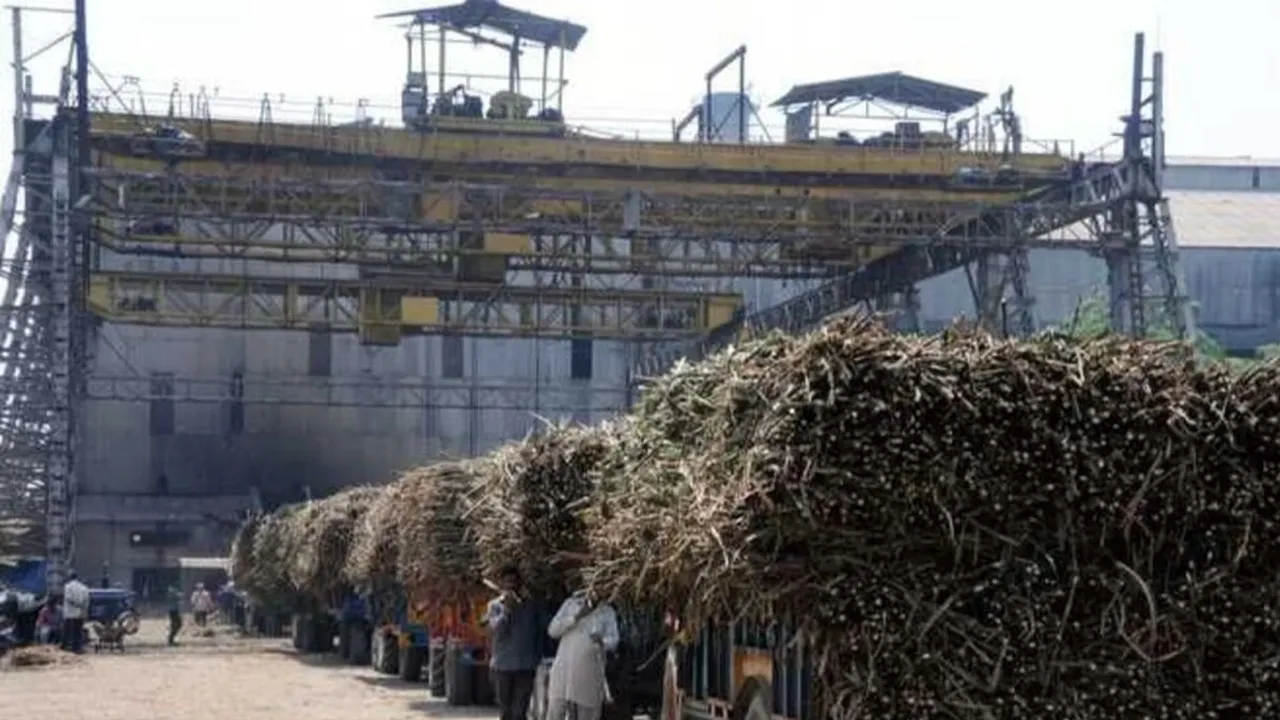 sugar mill
