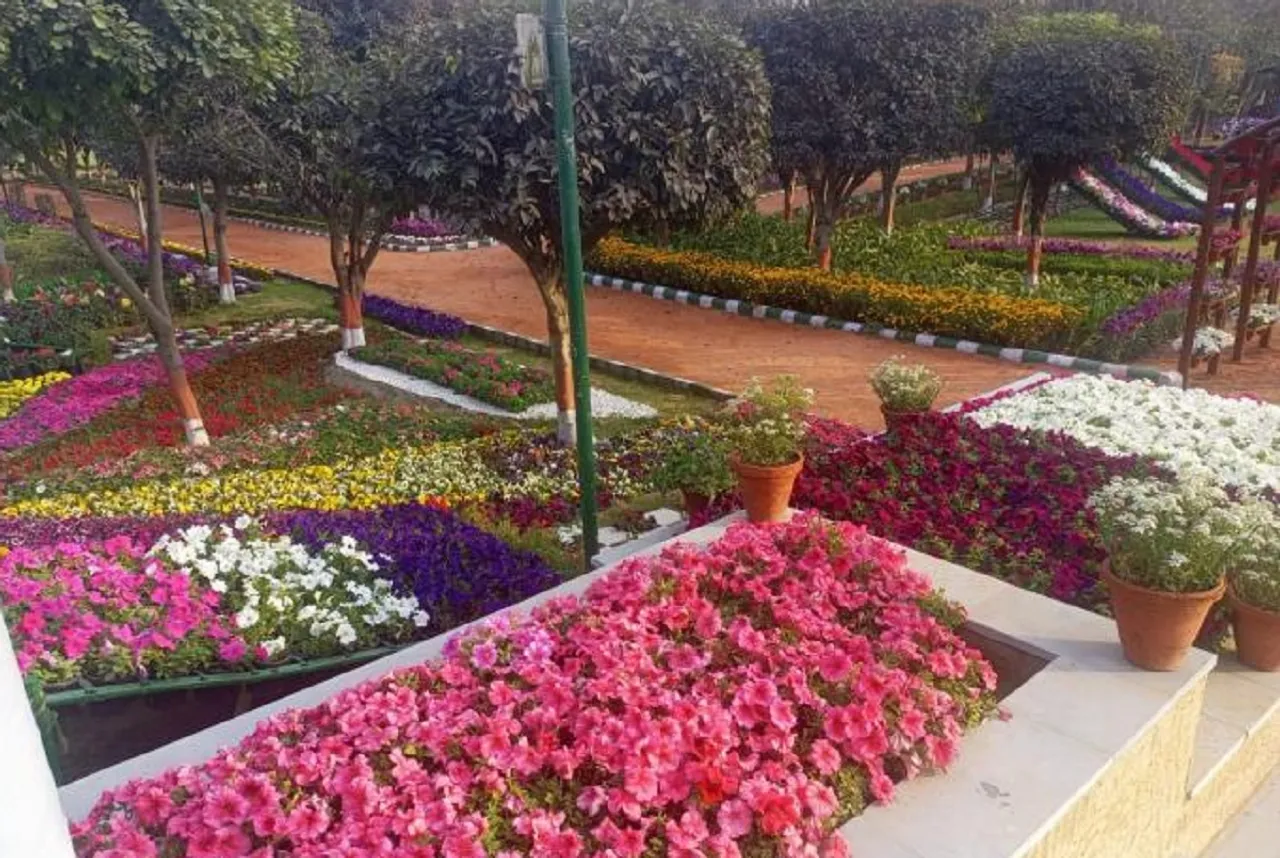 DELHI 
