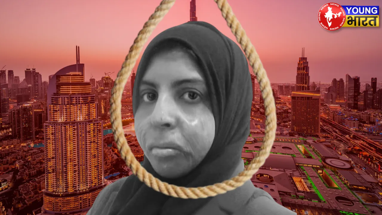 SHEHZADI FANSI