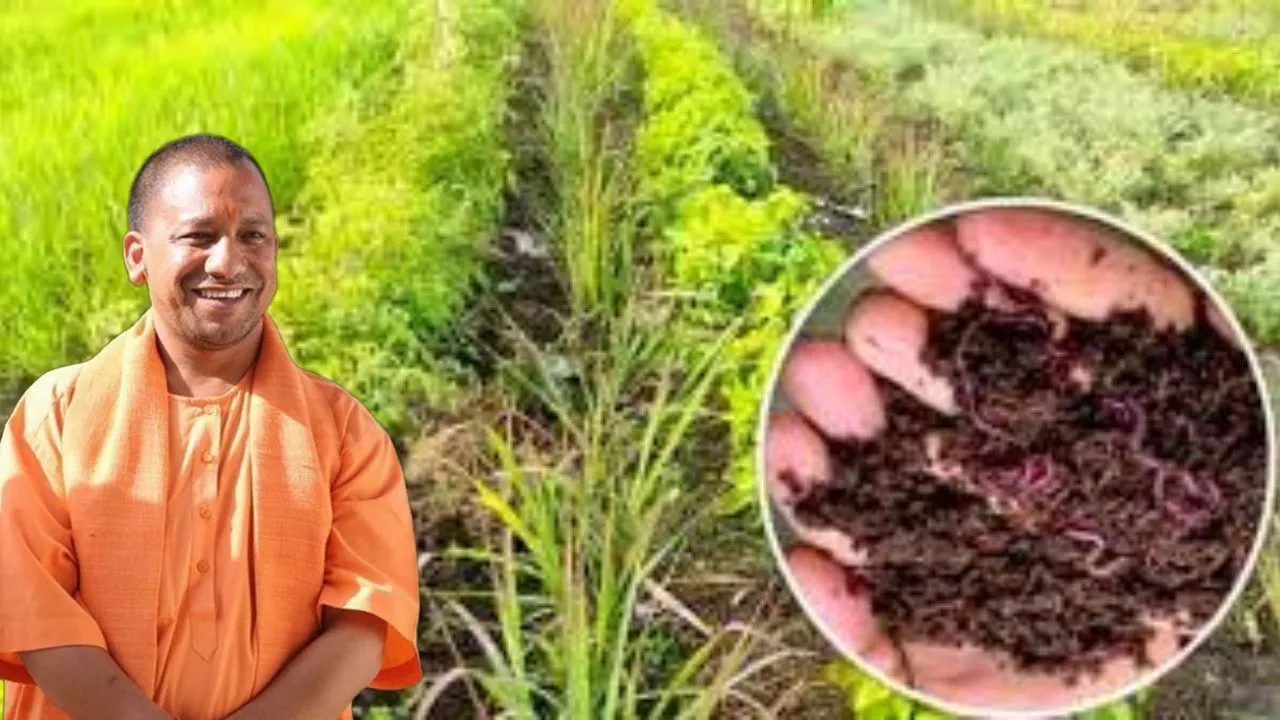 गोआश्रय केंद्रों में बनेंगी जैविक खाद इकाइयां
