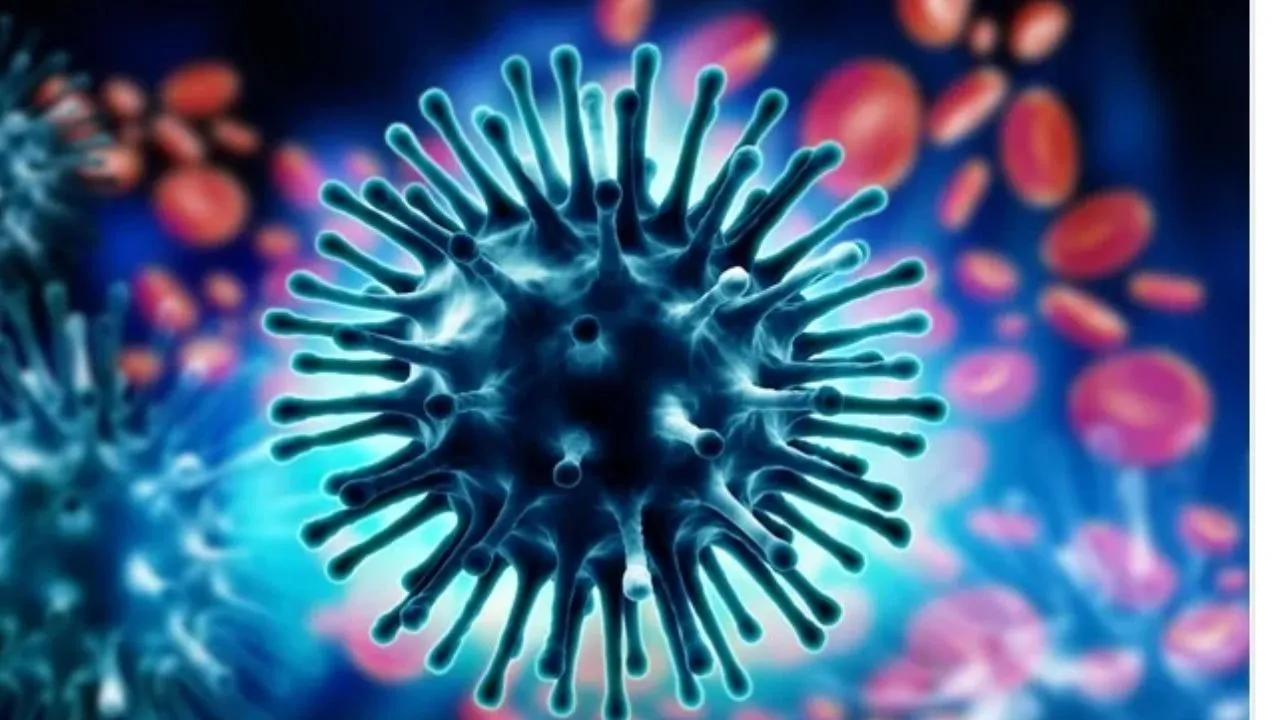 h1n1 virus