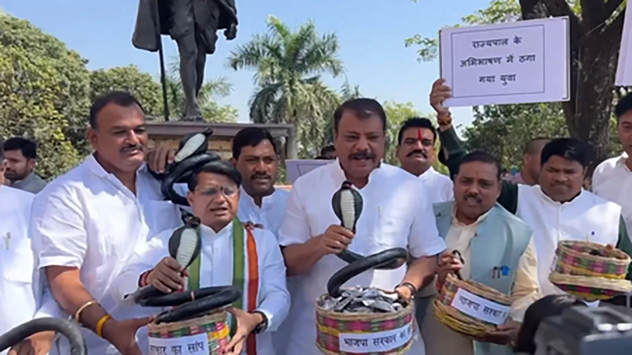 CongressMLA