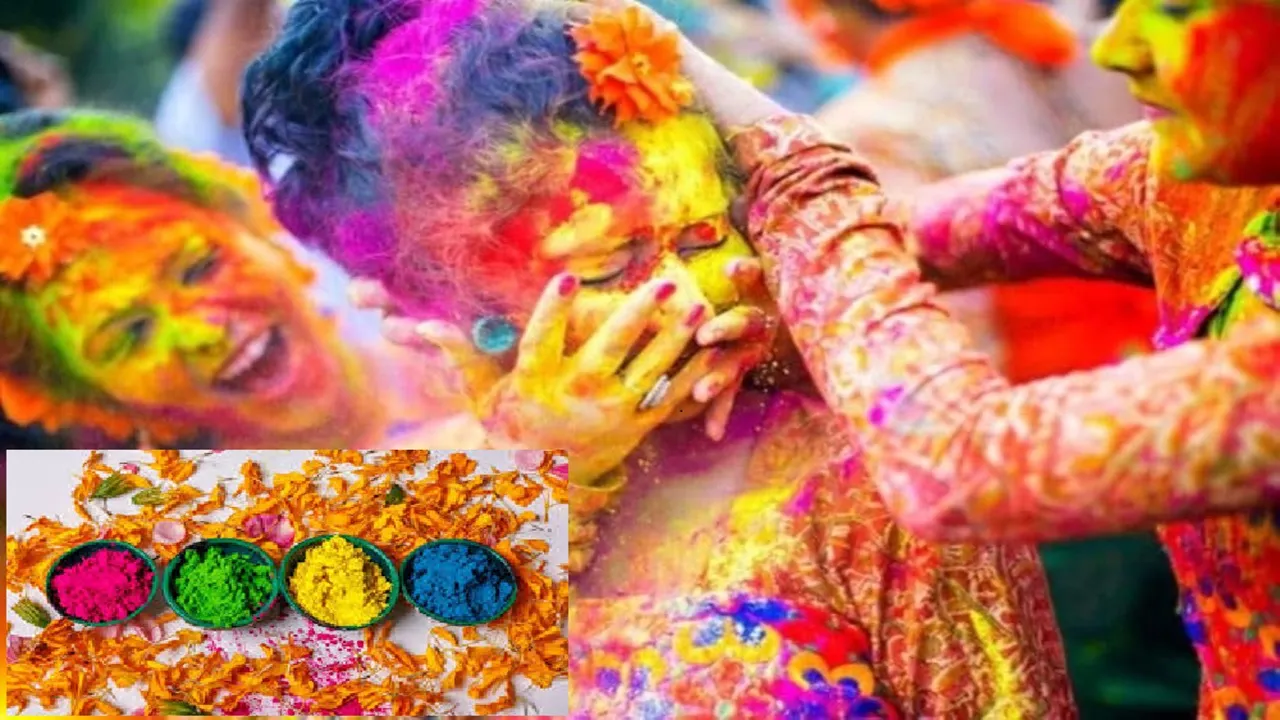 herbal colours gulal home
