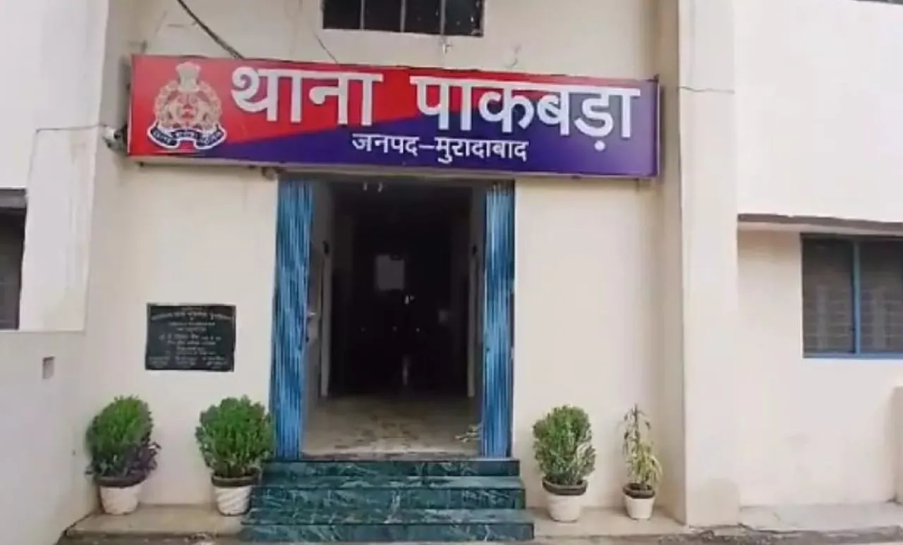 ीबरबरब