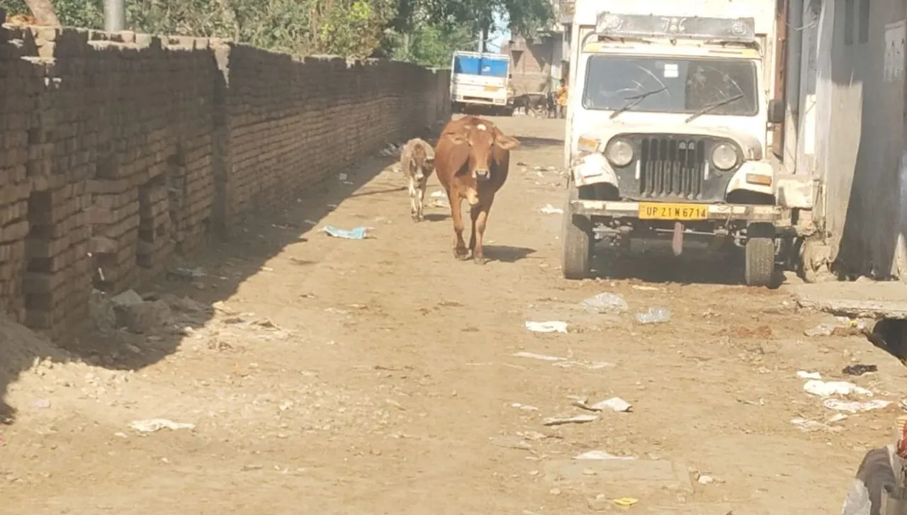 वाा