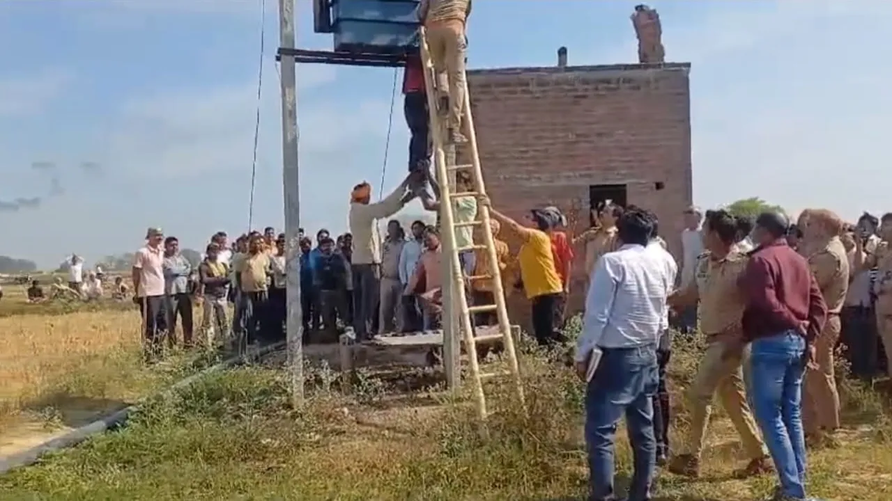 dfg