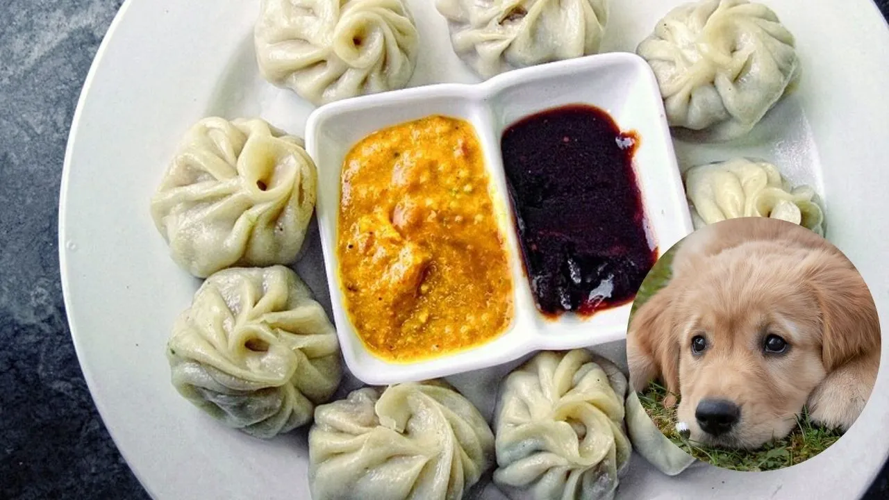 MoMos
