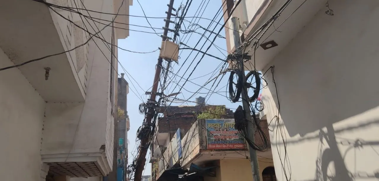 बीीाीाुपीा