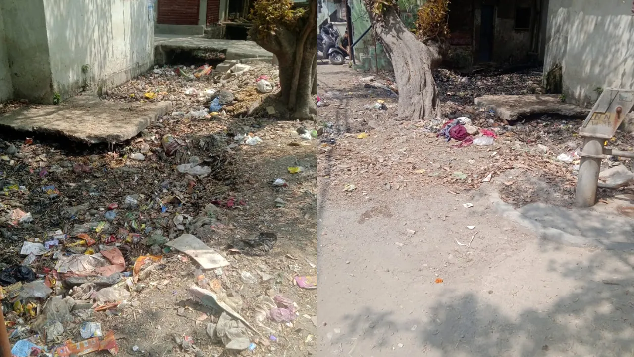 mosquito diseases young bharat