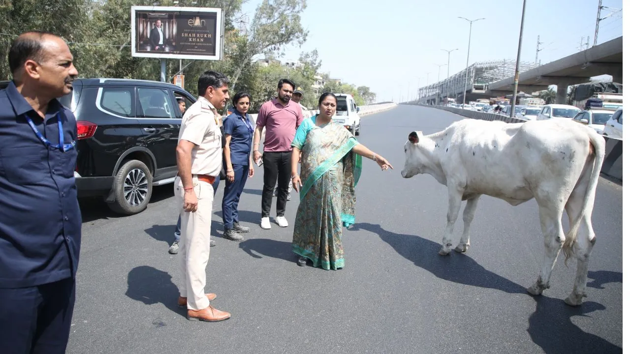 Delhi की सफाई पर निकली CM साहिबा, मेट्रो के खंभों और सड़कों से हटवाए पोस्टर