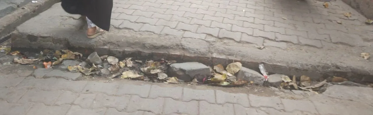 ेमेौमेौ