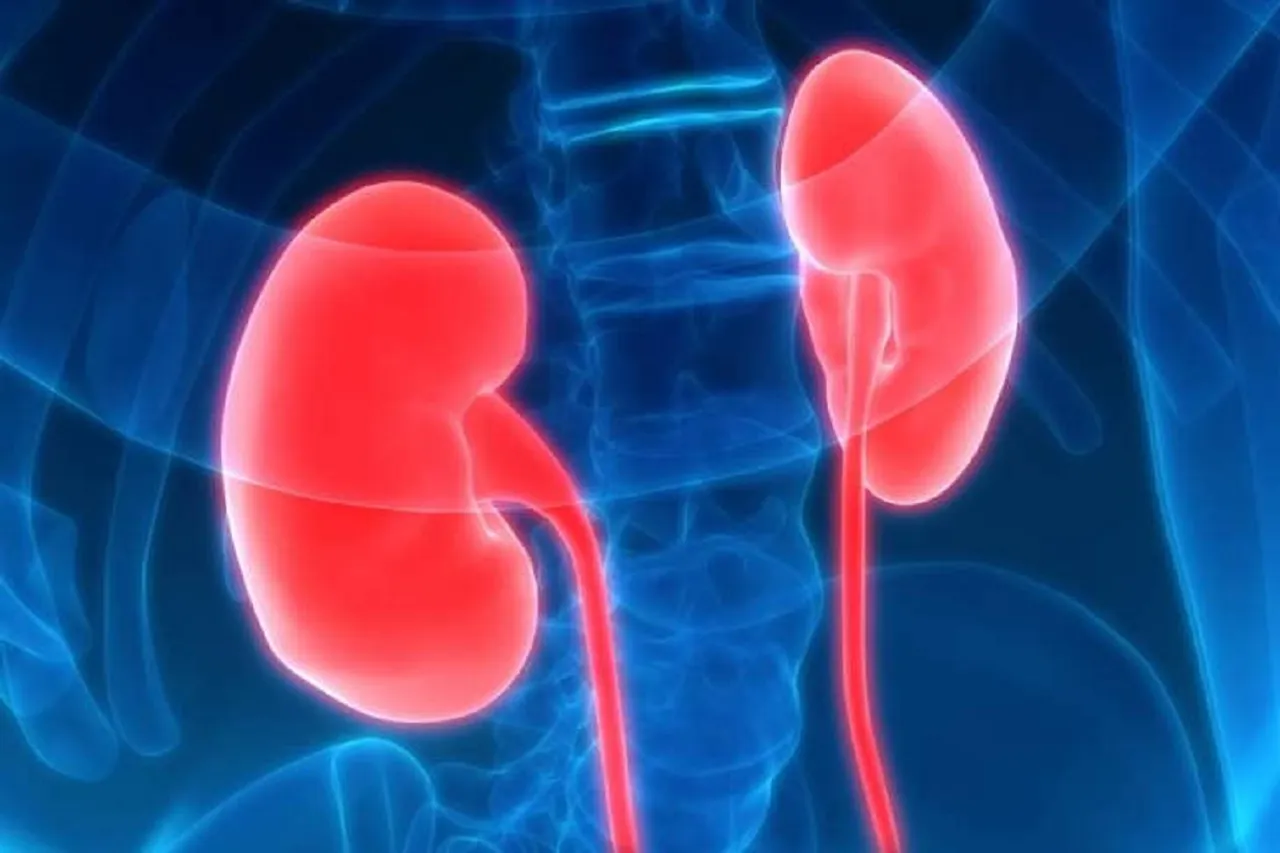 Chronic Kidney Disease