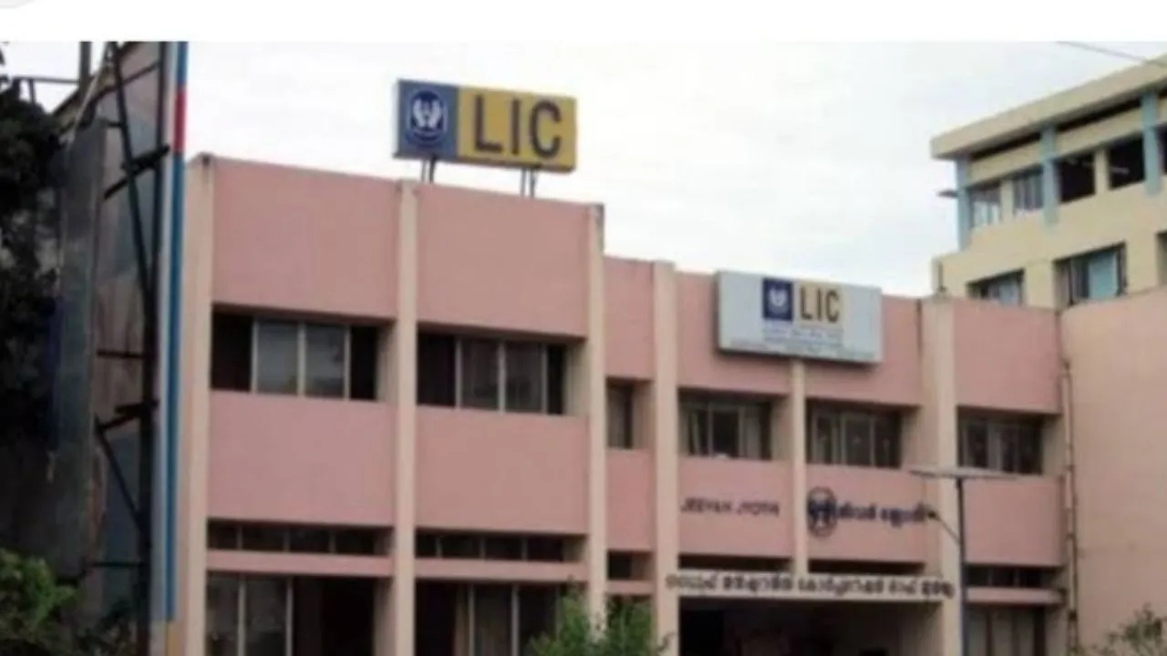 Lic 