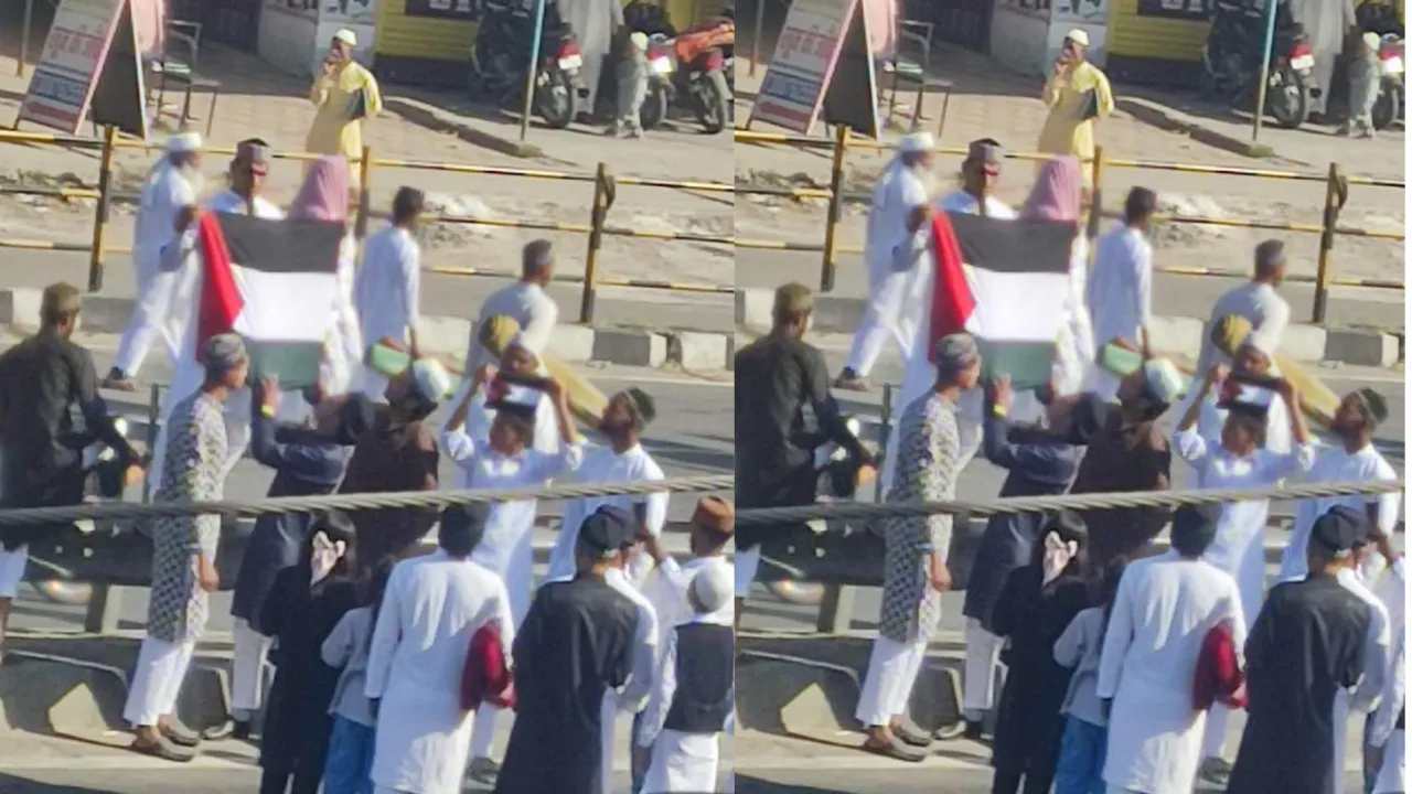 flag of palestine