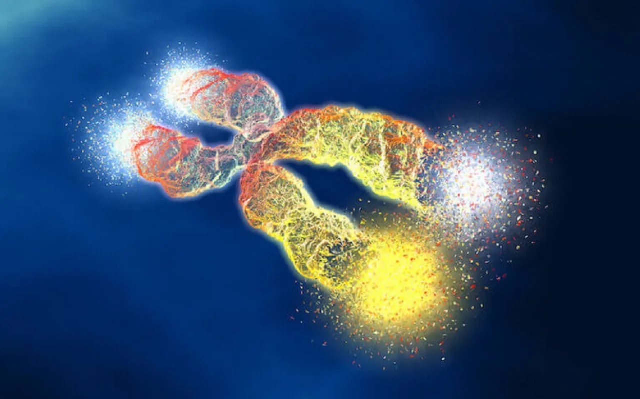 How do telomeres play a role in cancer